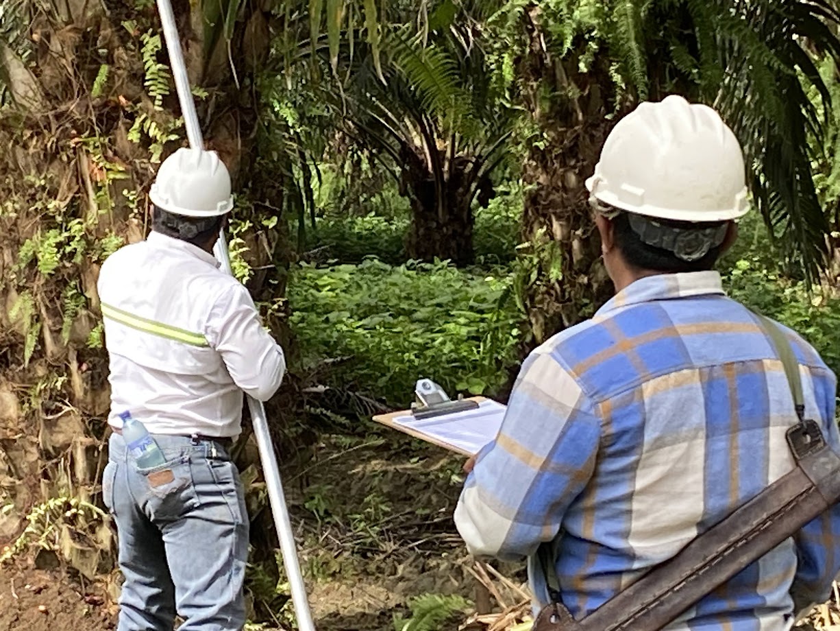 Corte ejecutivo REPSA 2025